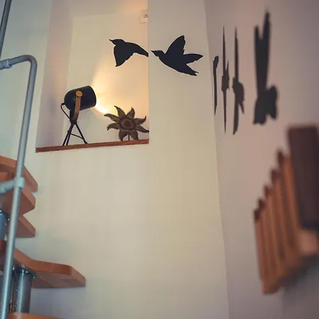 Le Petit Du Roy דירה